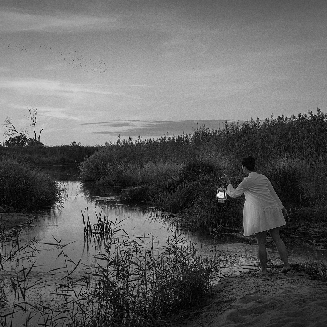 Homeland - Landscape of memories