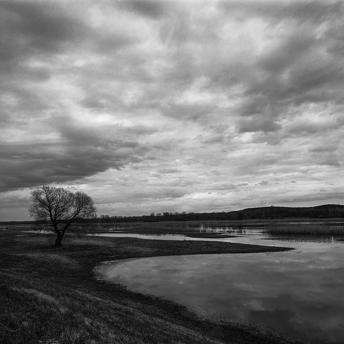 Homeland - Landscape of memories