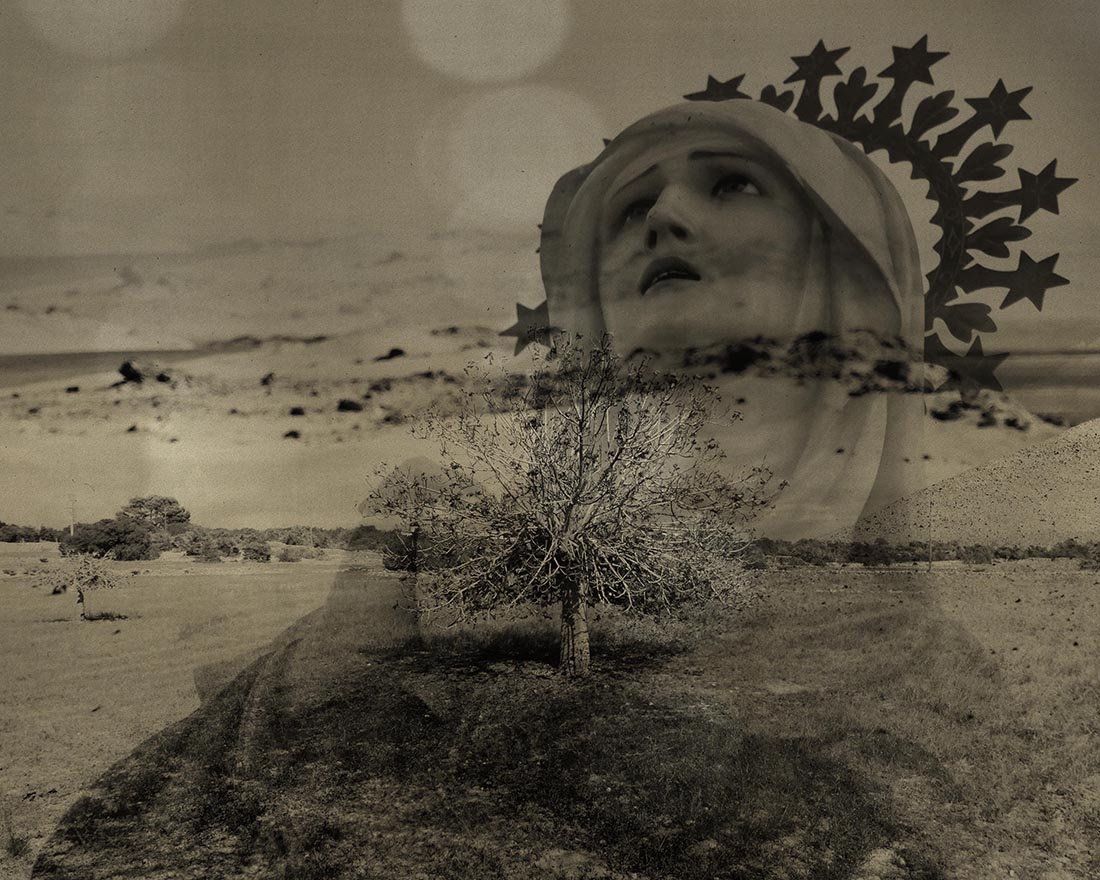 INscapes