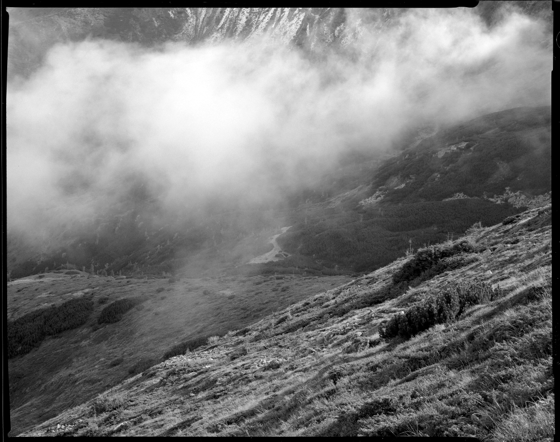 Fog in the Carpathians