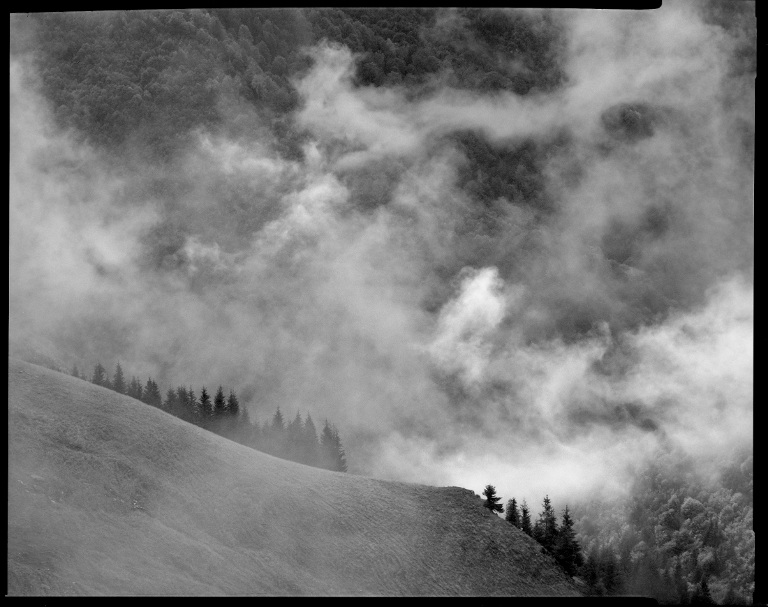 Fog in the Carpathians