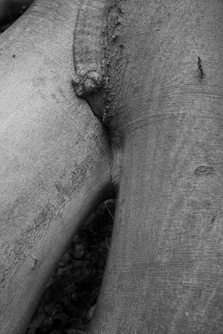 Enigmatic Torsos