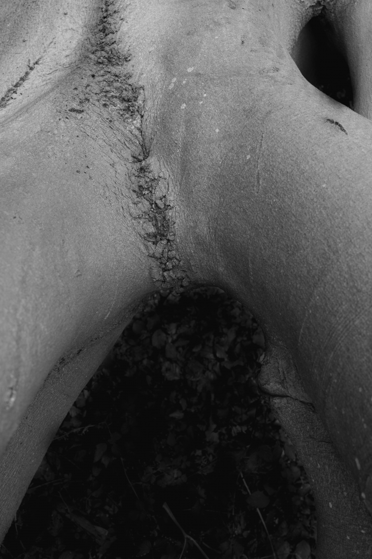 Enigmatic Torsos