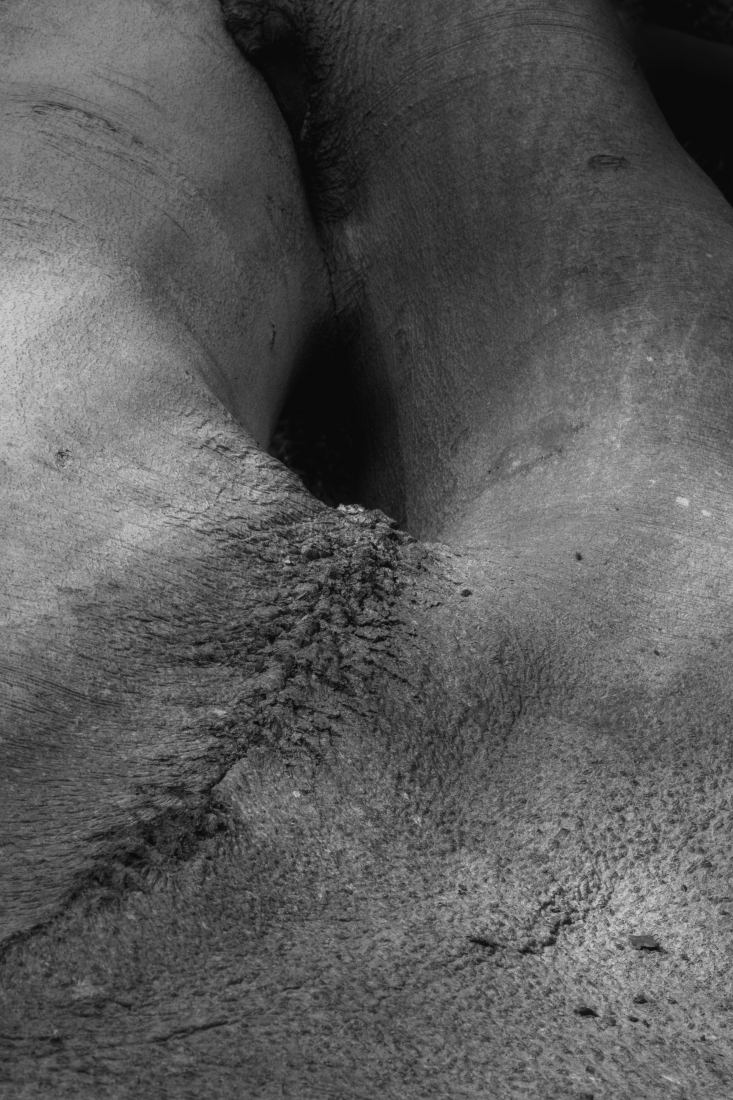 Enigmatic Torsos