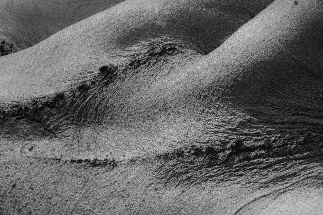 Enigmatic Torsos