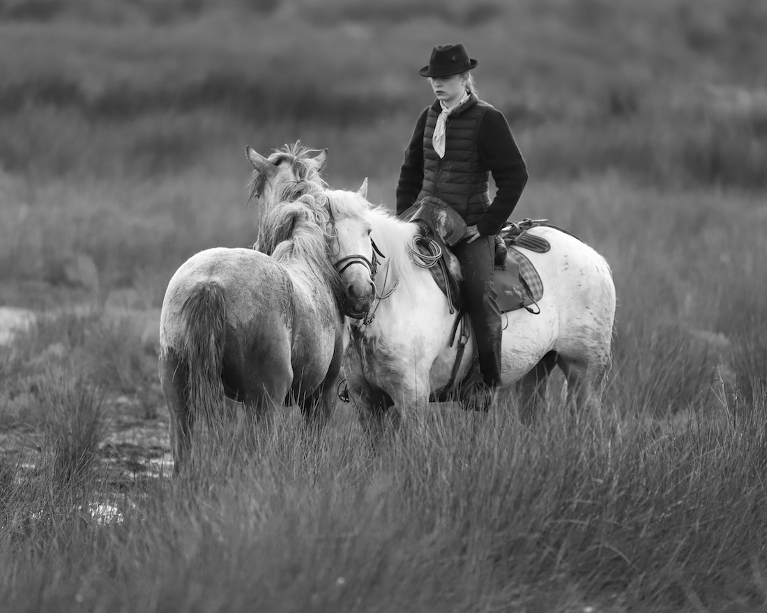 people and land of the Camargue