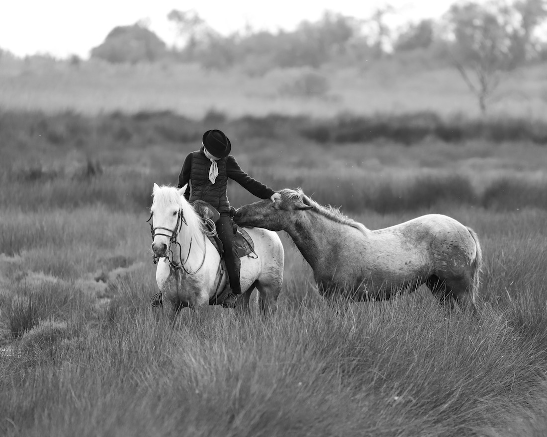 people and land of the Camargue