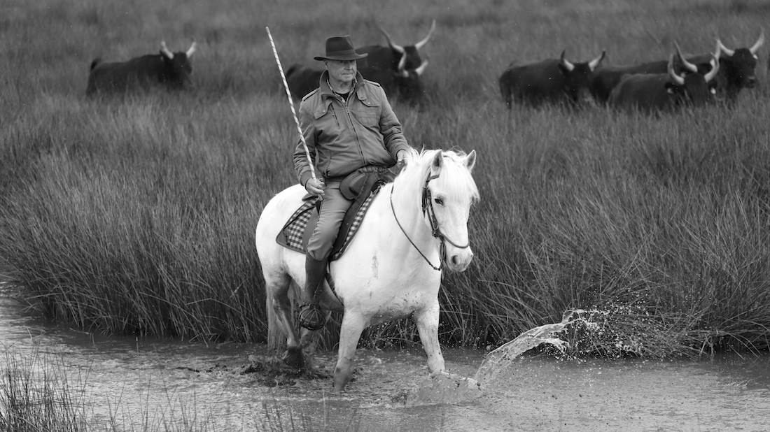 people and land of the Camargue