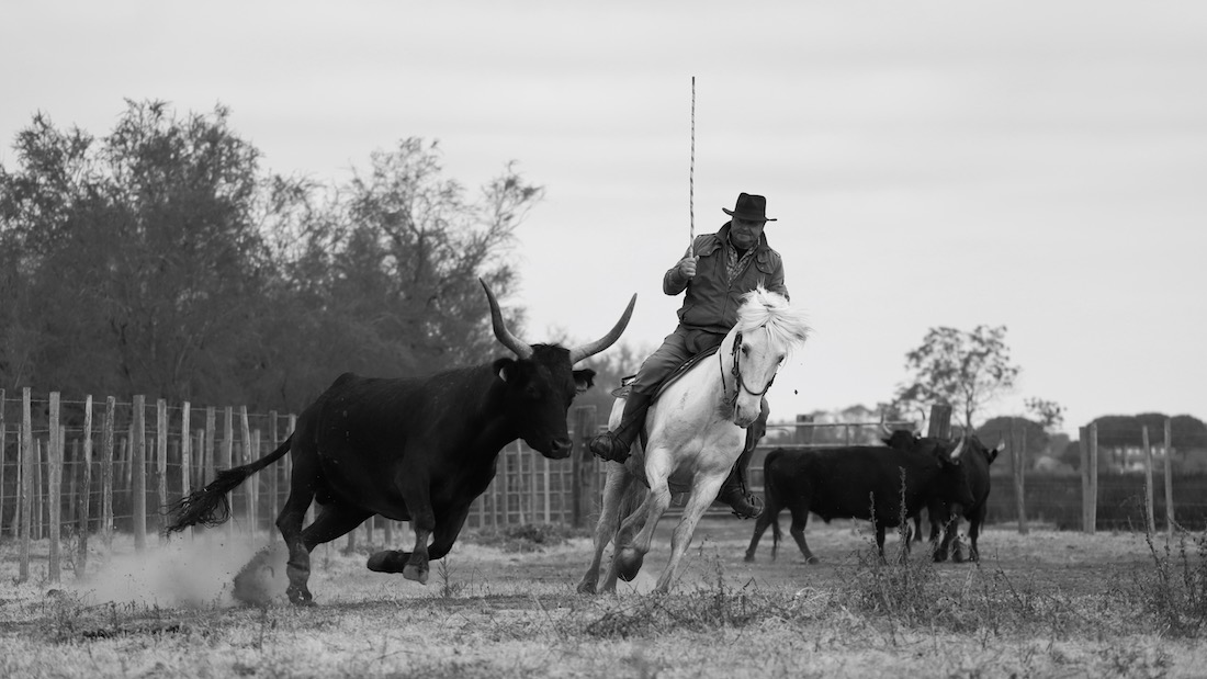 people and land of the Camargue