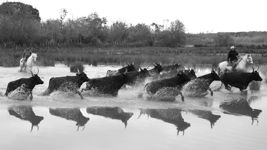 people and land of the Camargue