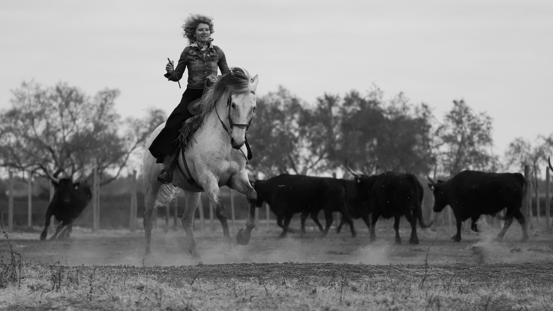people and land of the Camargue