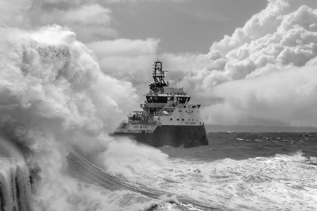 North Sea Tigers