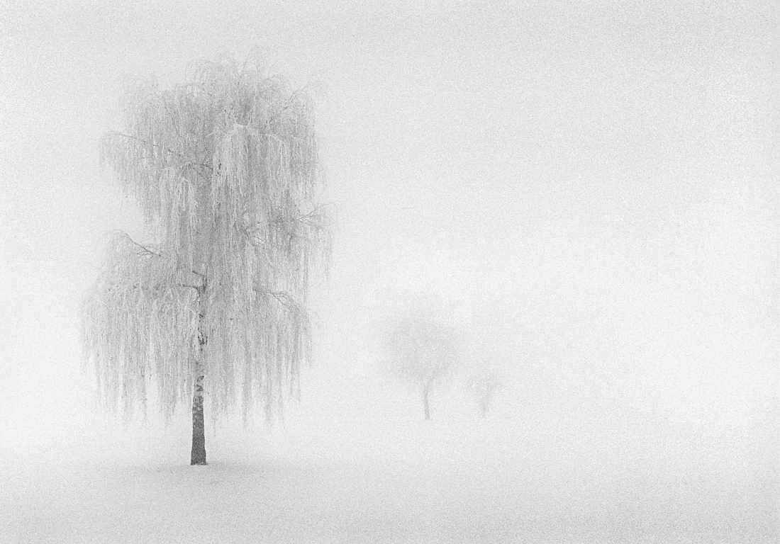 In Absentia
