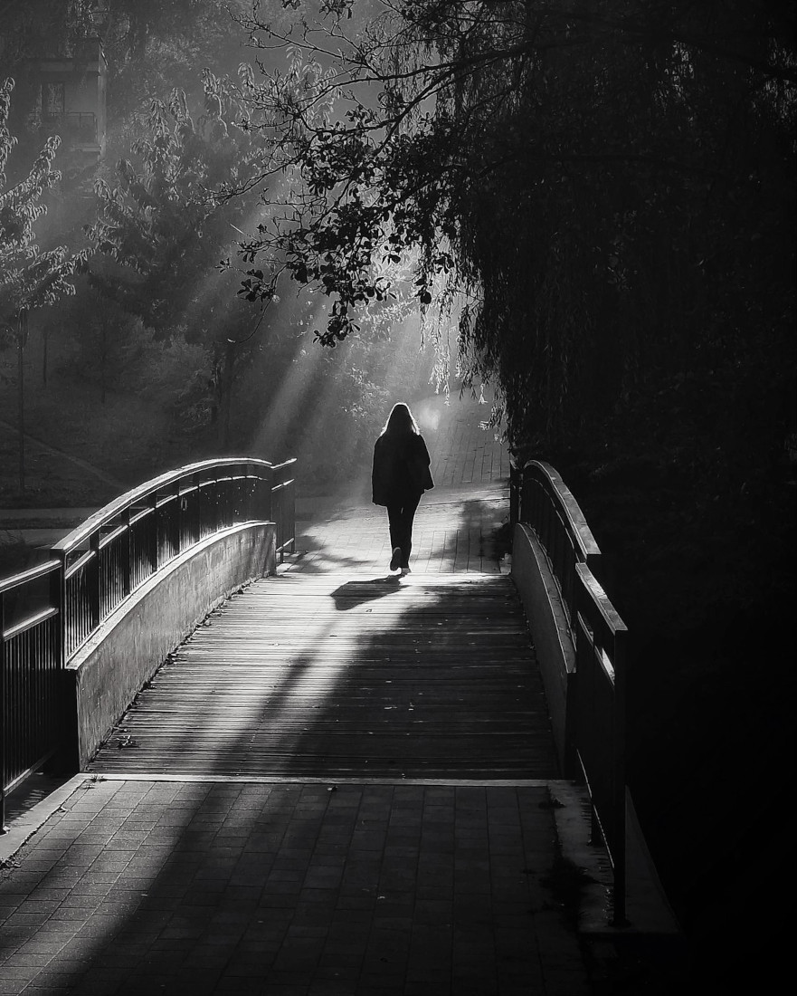 Misty morning