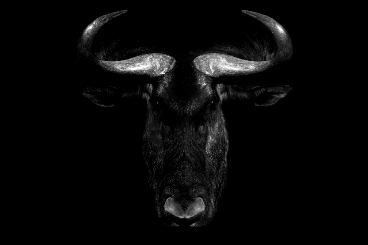 Darkness