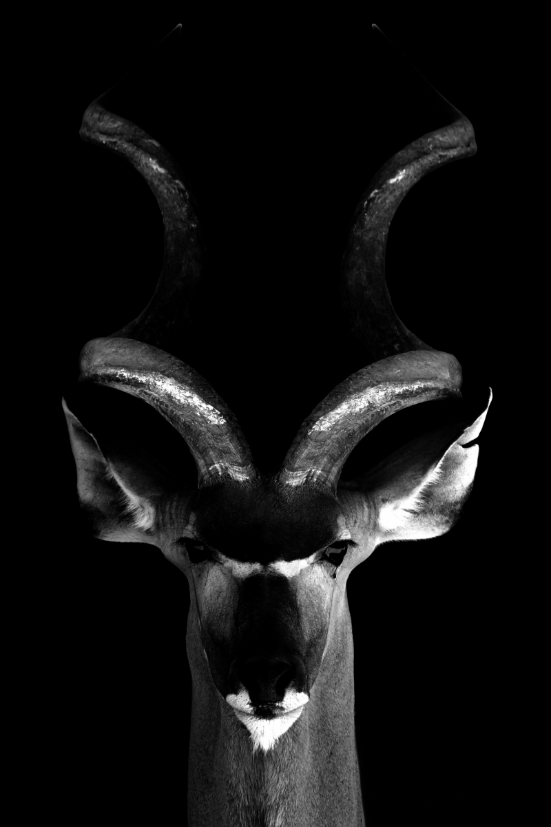 Darkness