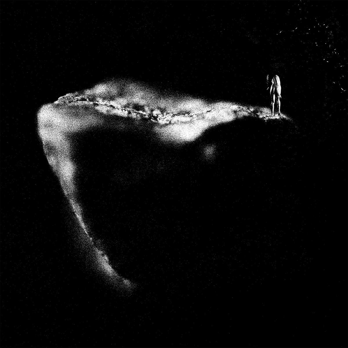 Sorties Nocturnes