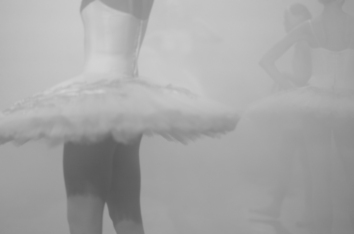 Swan Lake