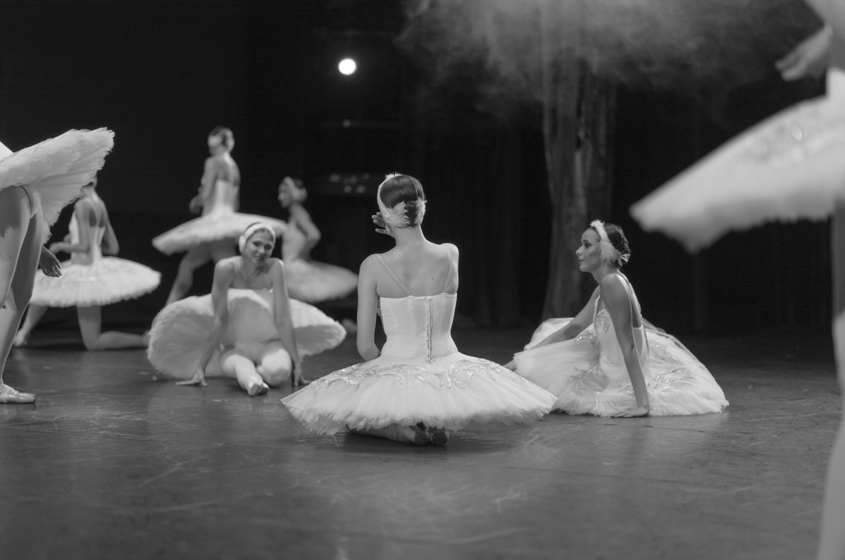 Swan Lake