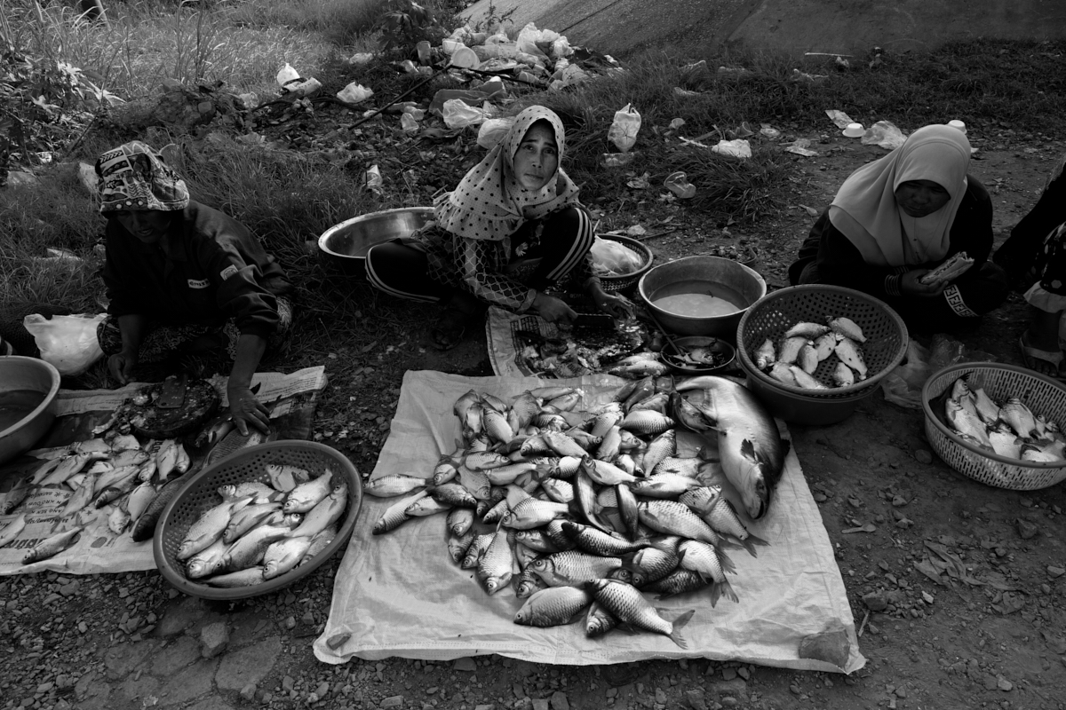 Cham Community