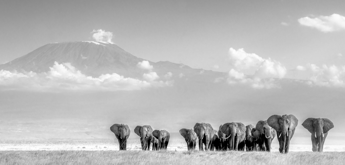 On Endless Plains