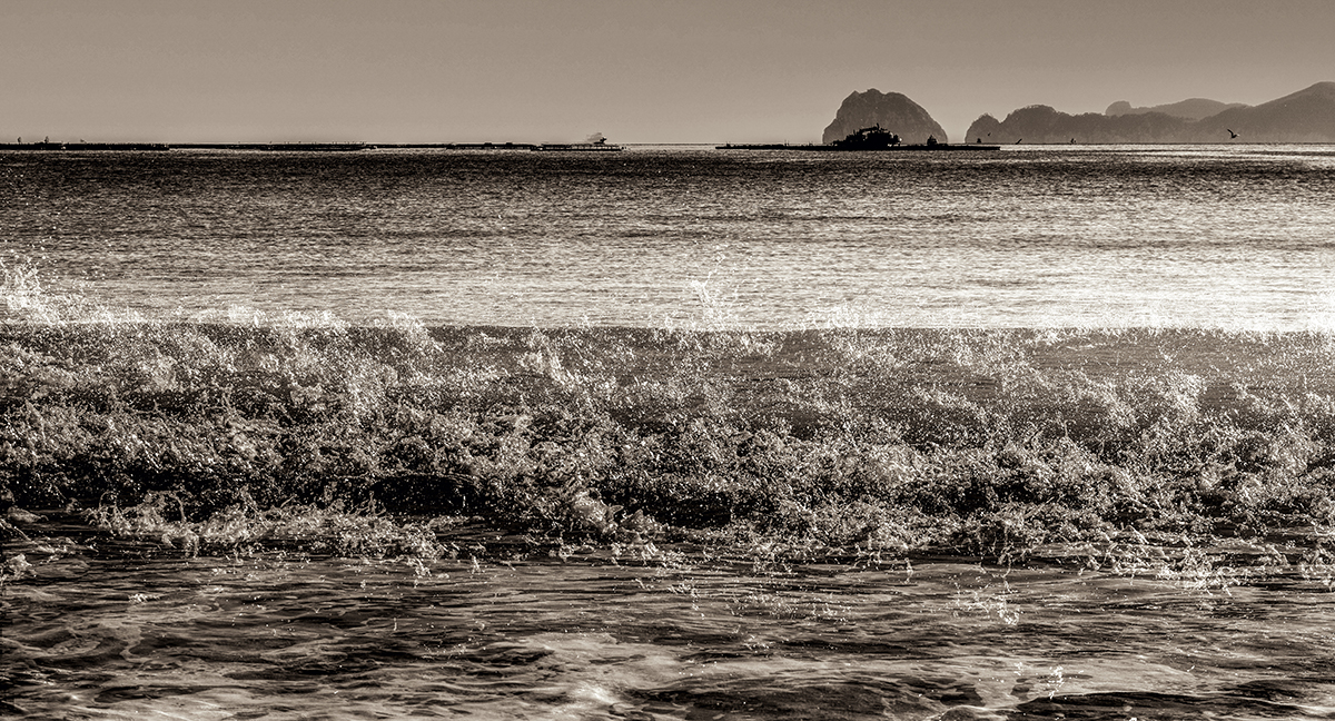 The Sea in Me