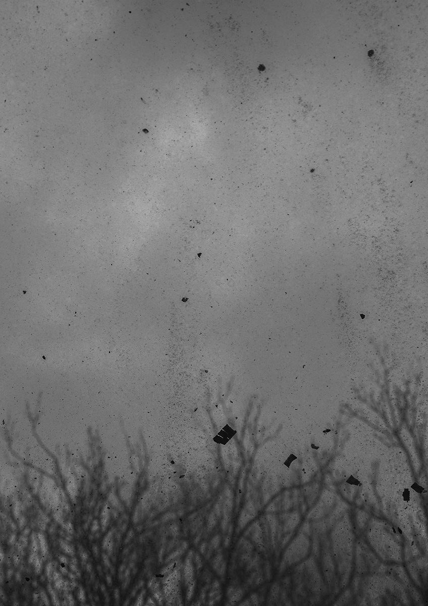 Frozen August 