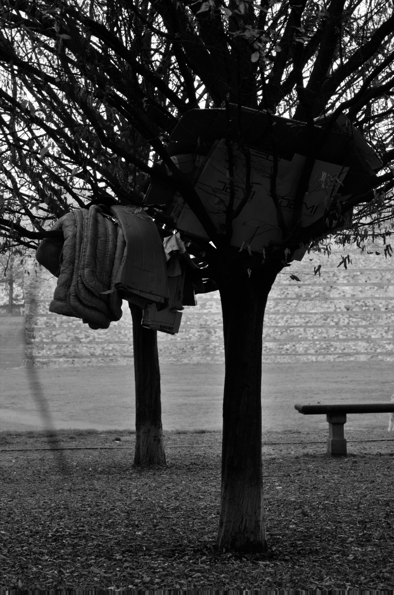 Human Landscape