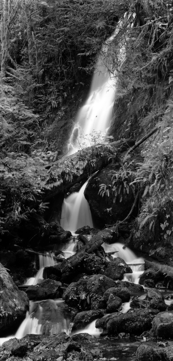 Large Format Silver Gelatin Prints