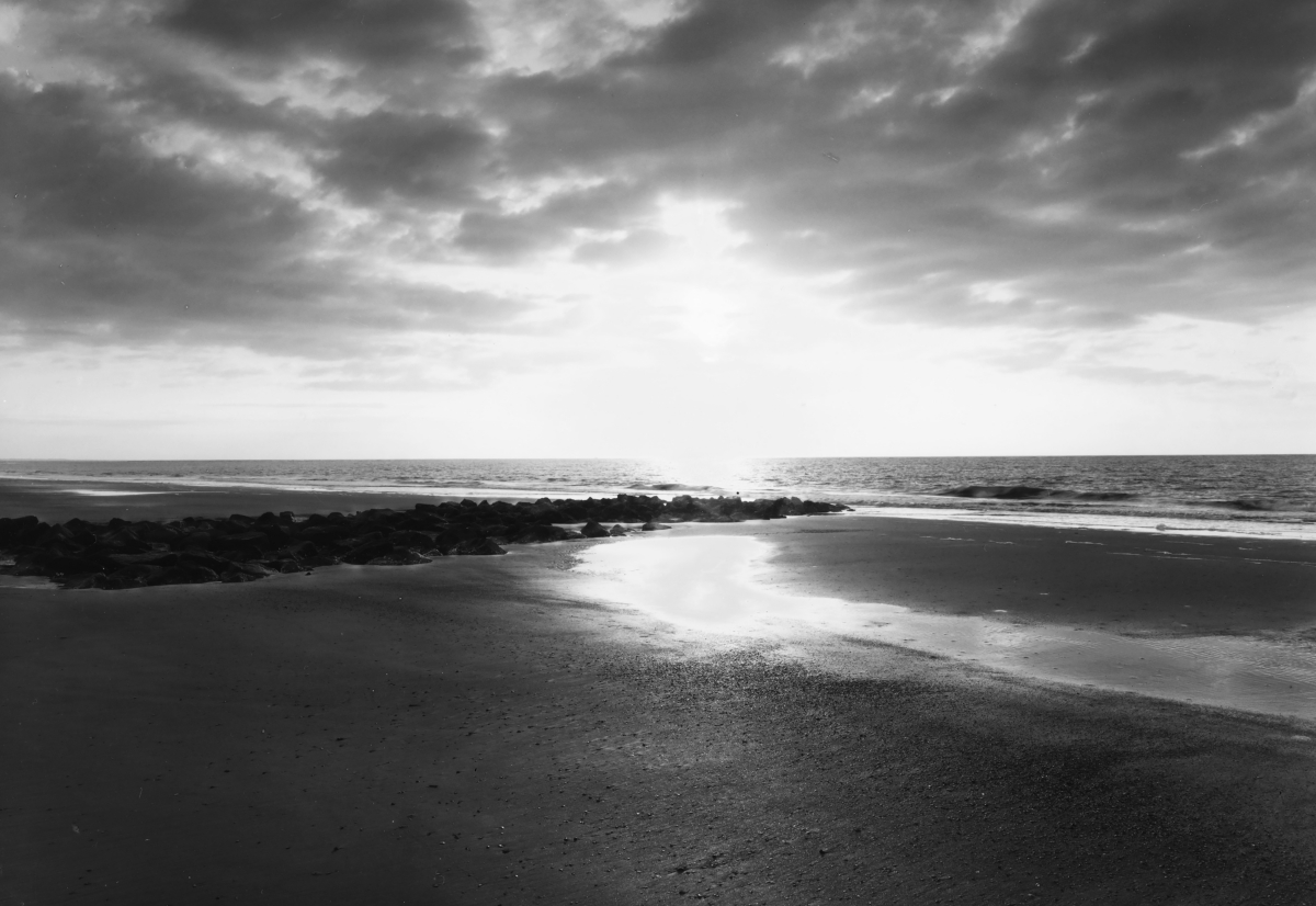 Large Format Silver Gelatin Prints