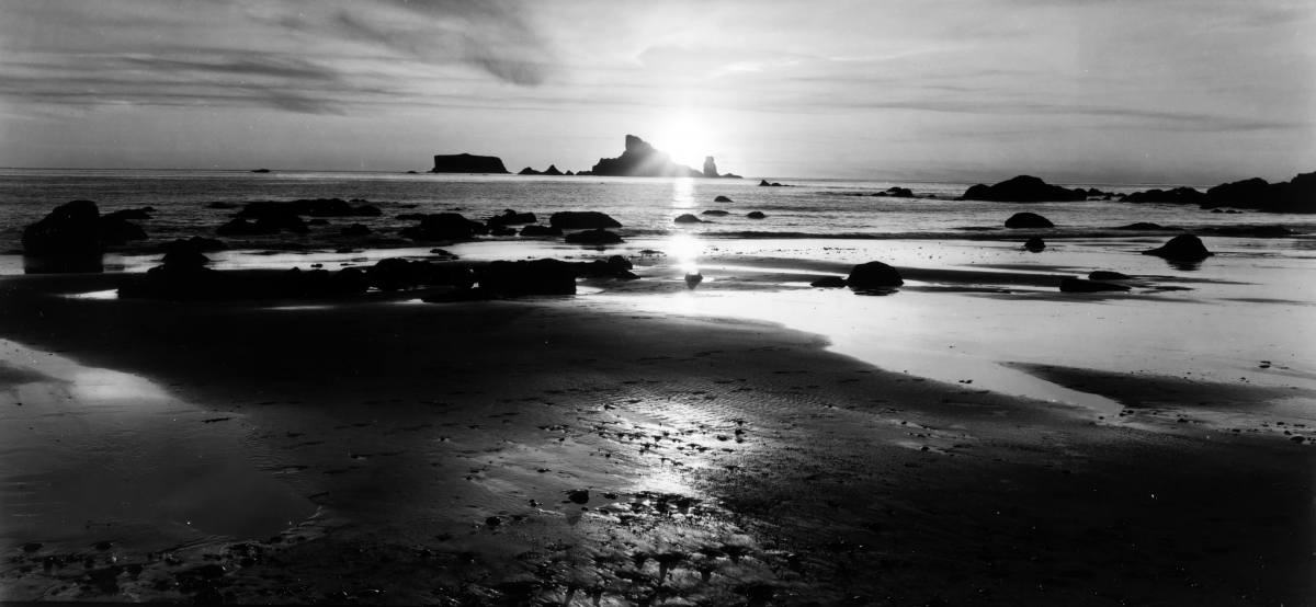 Large Format Silver Gelatin Prints