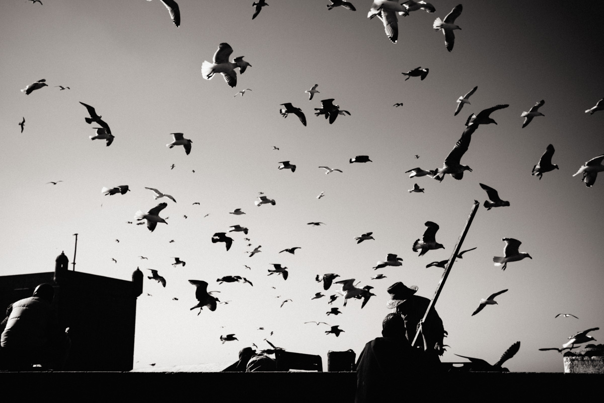 Hungry sky