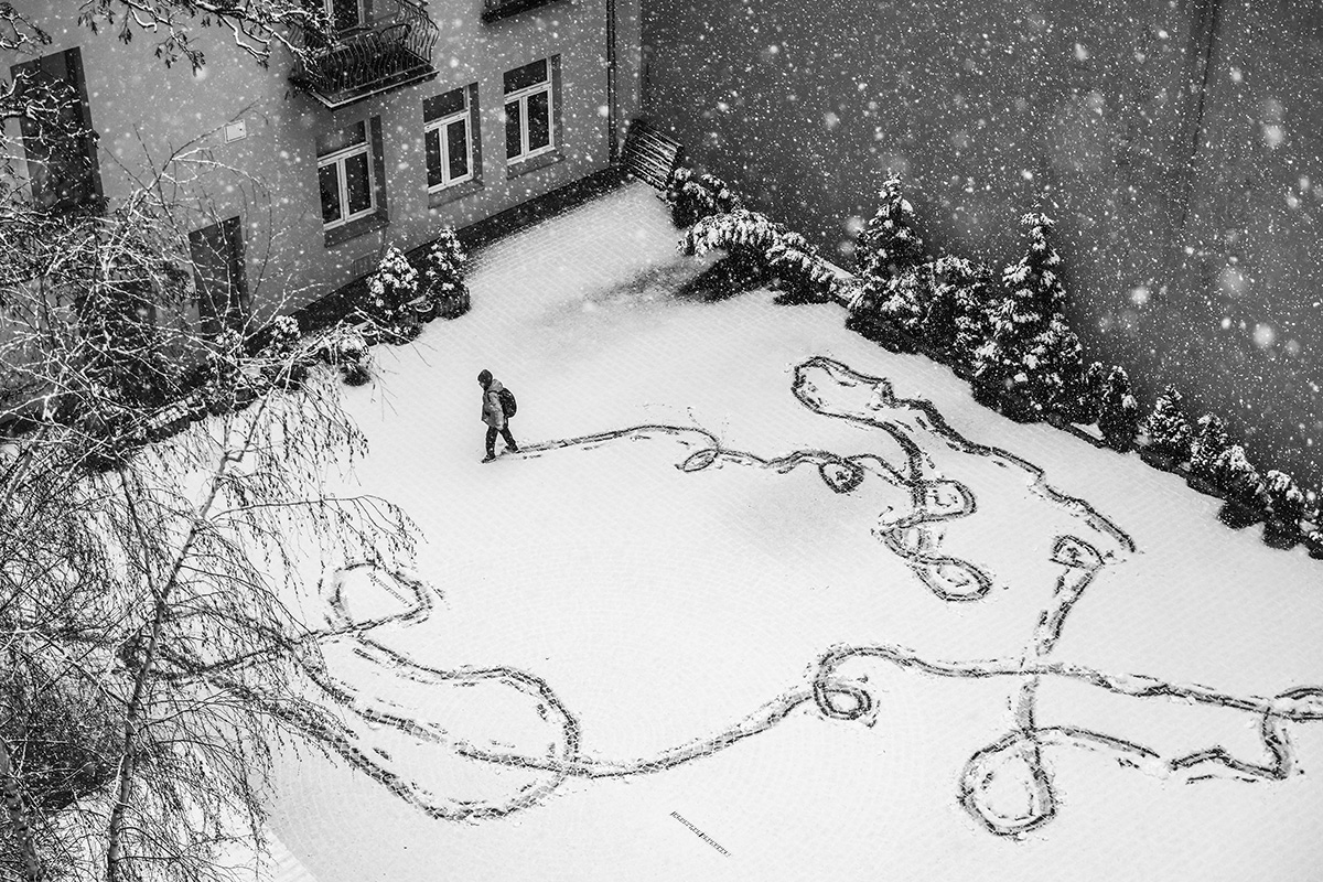 Snowfall
