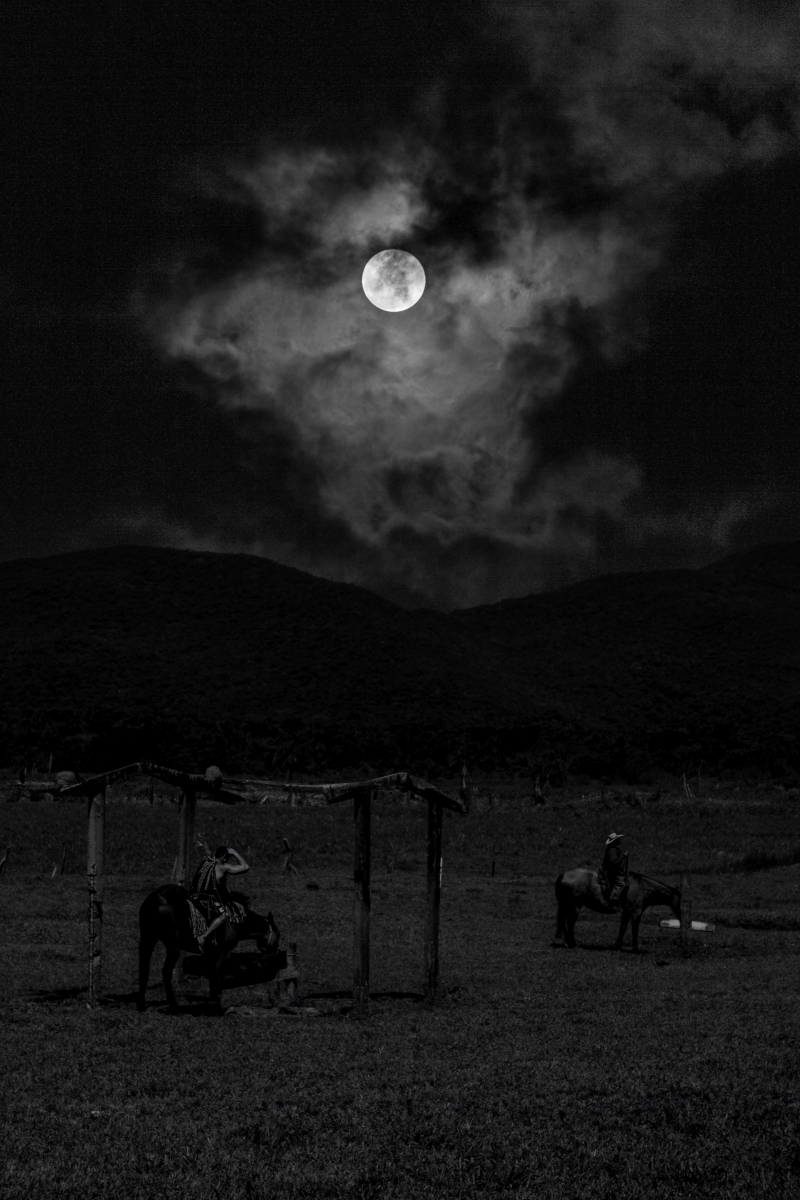 Cowboys Under the Moonlight