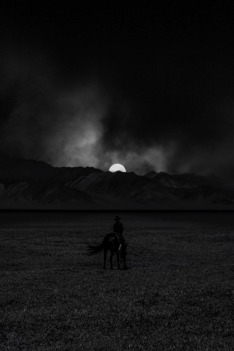 Cowboys Under the Moonlight