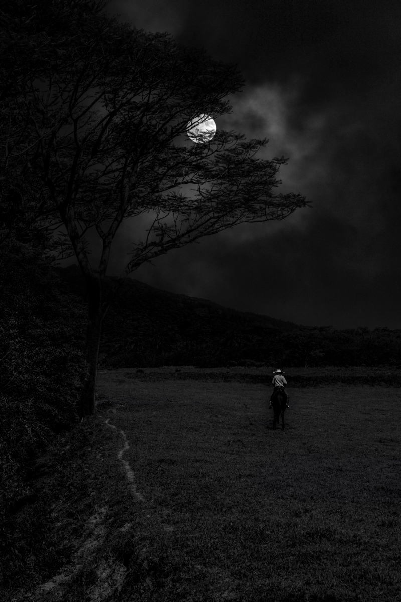 Cowboys Under the Moonlight