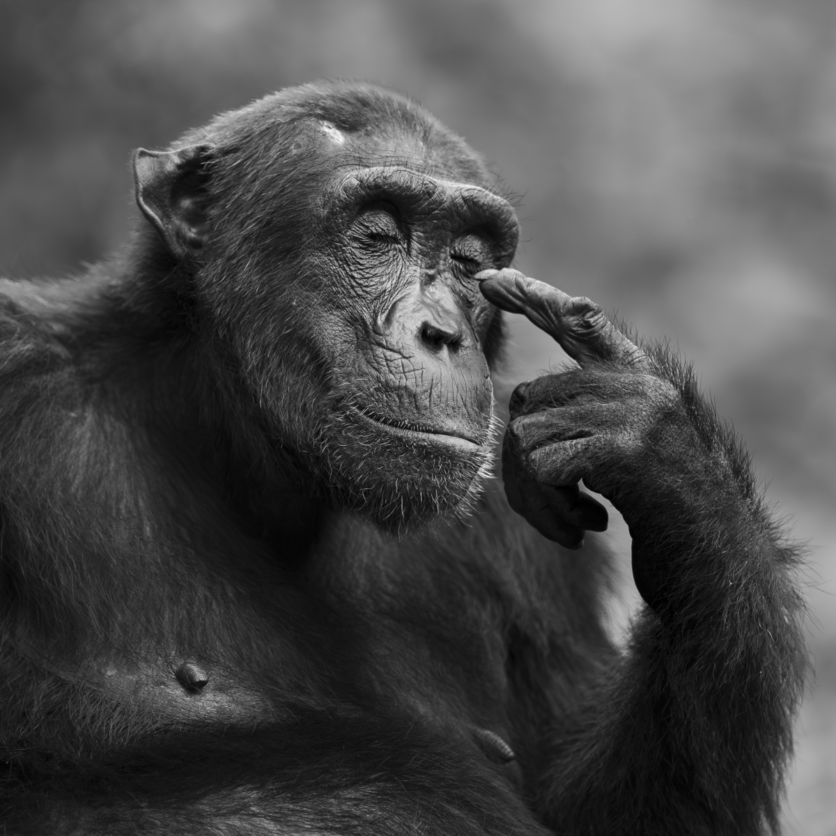 Let me think.....