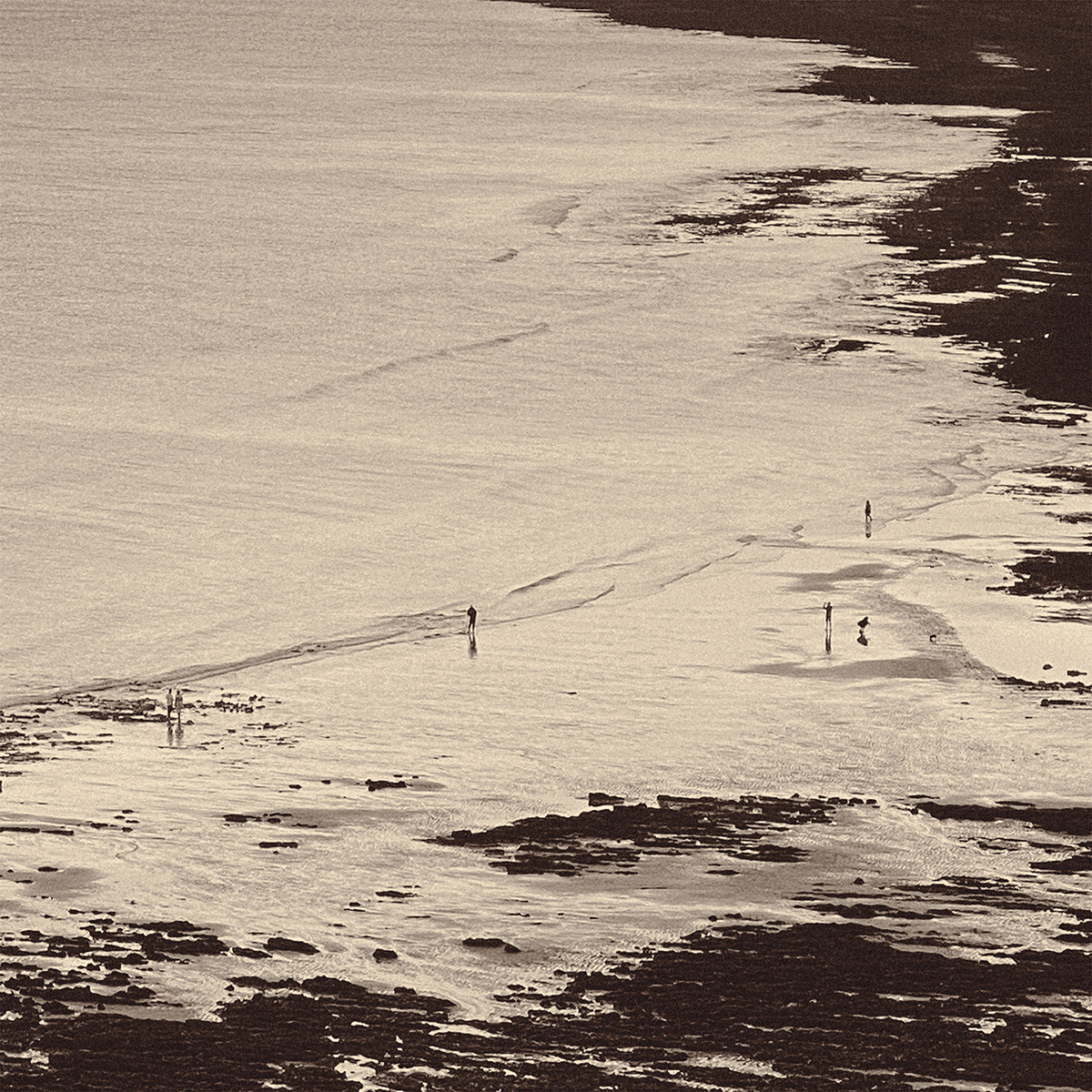 Transient Horizons: A Human Odyssey