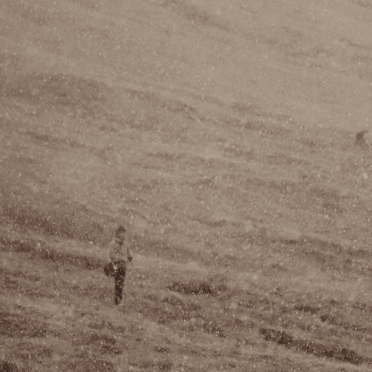 Transient Horizons: A Human Odyssey