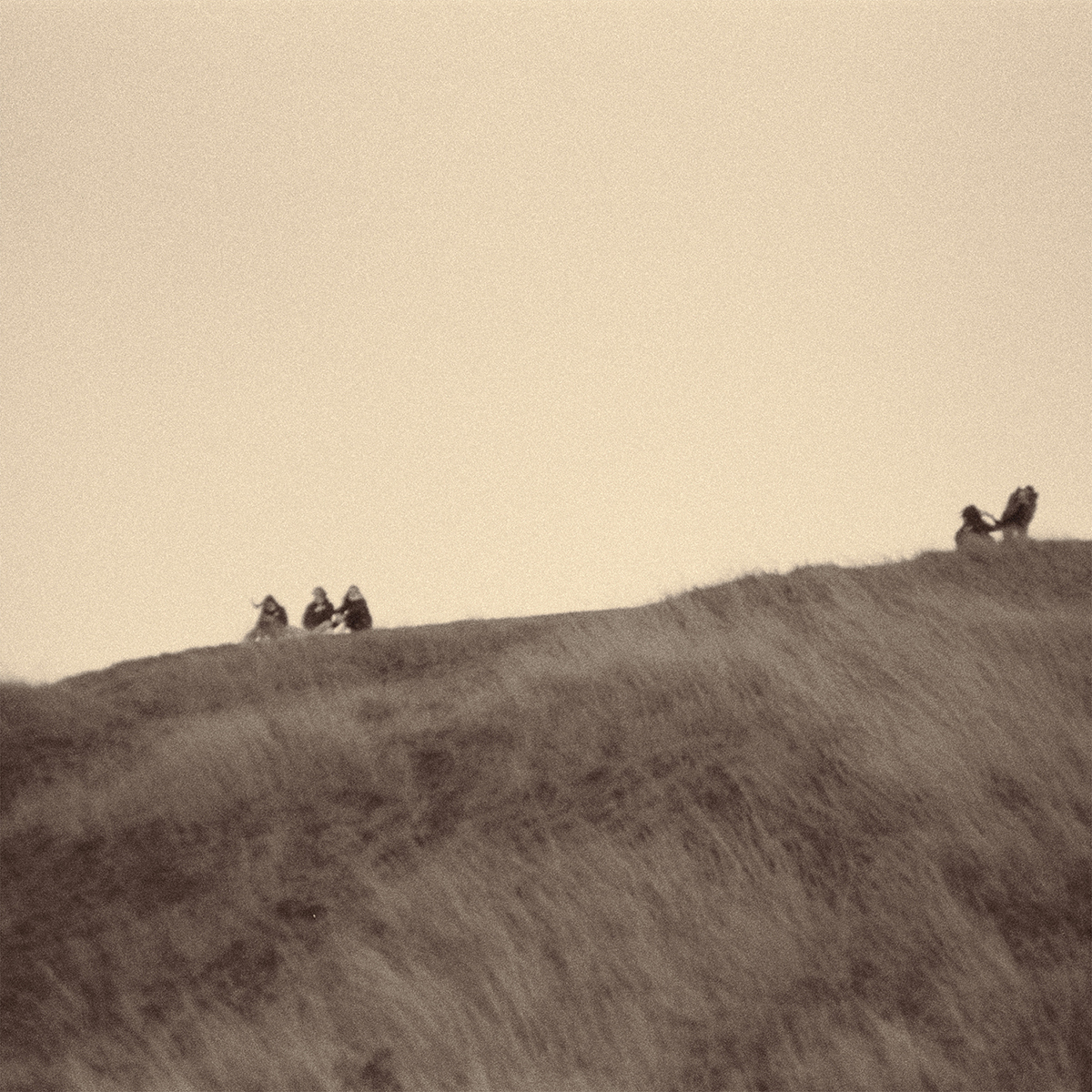 Transient Horizons: A Human Odyssey