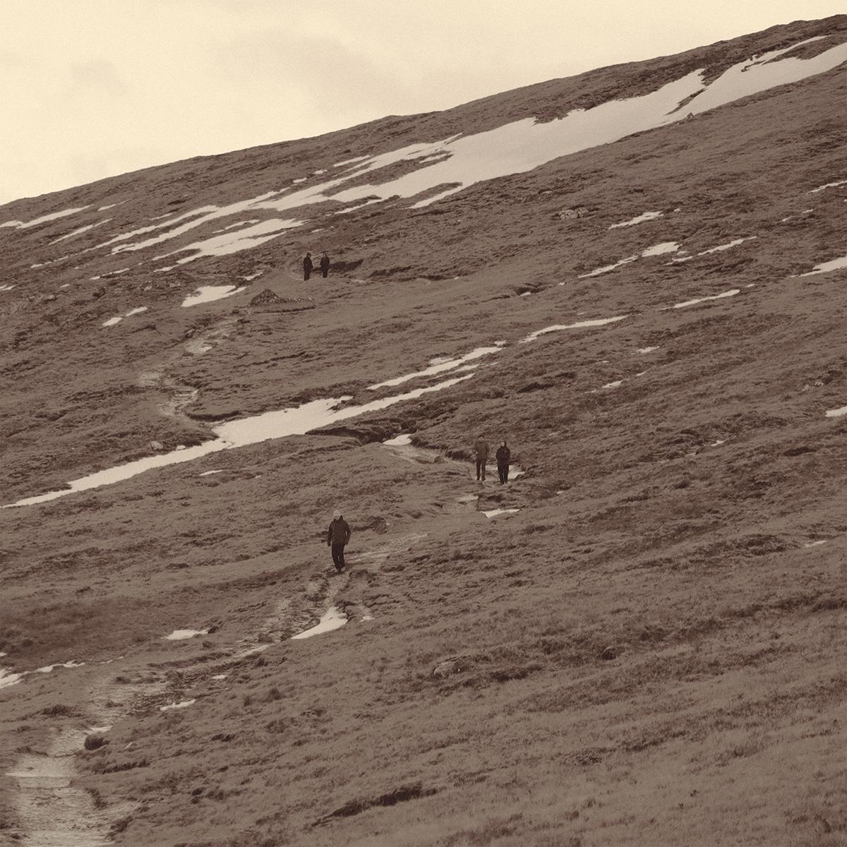 Transient Horizons: A Human Odyssey