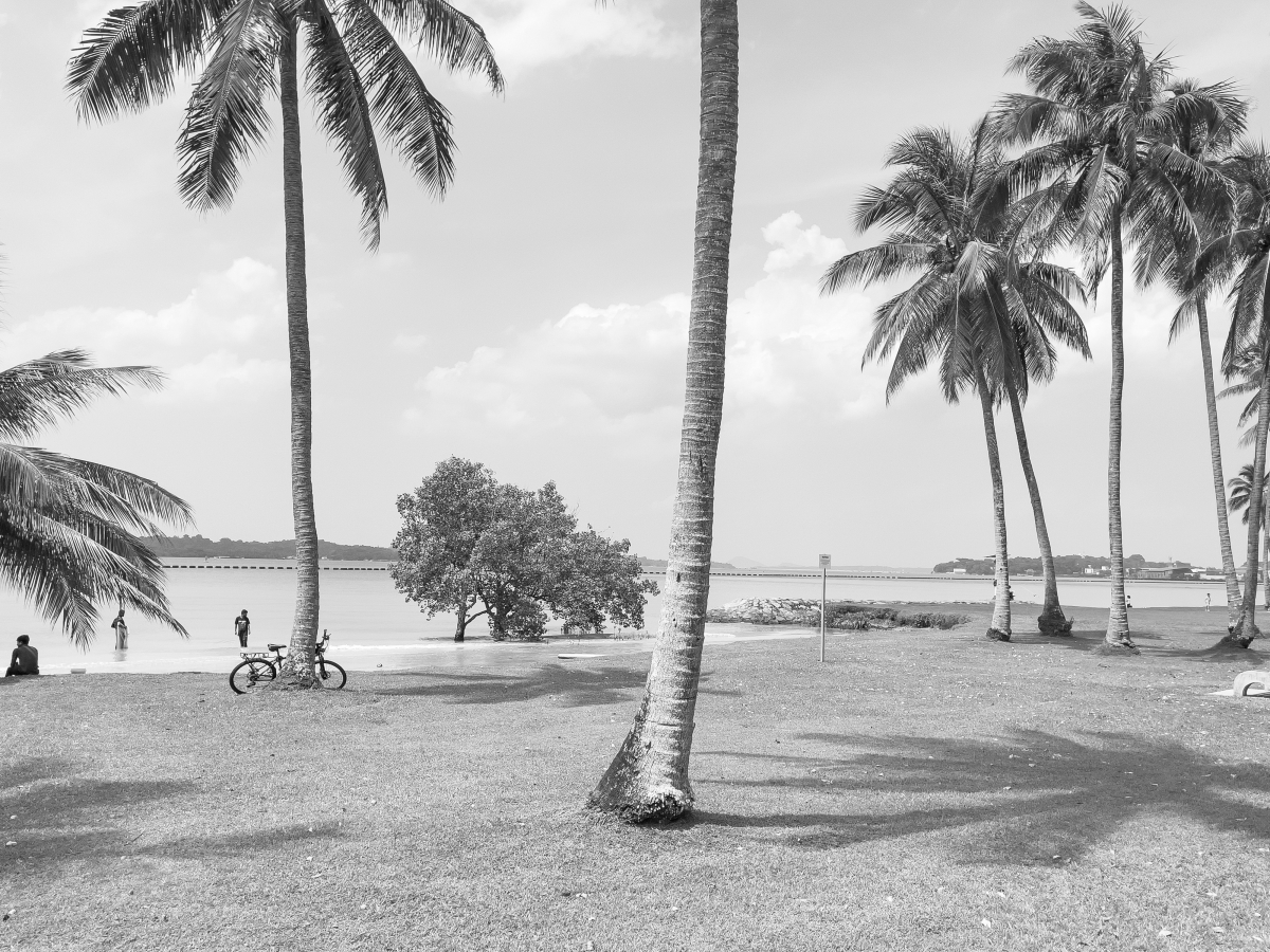 Muted Equator