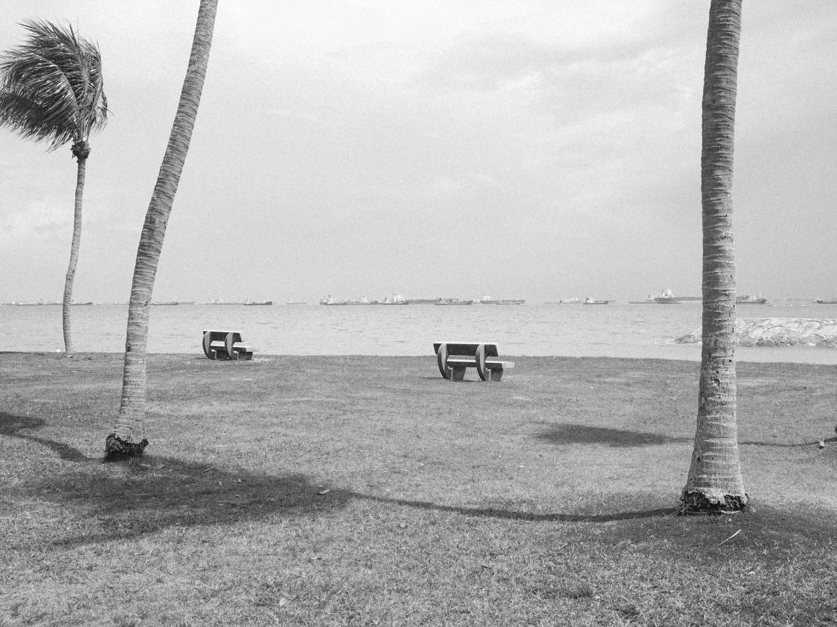 Muted Equator