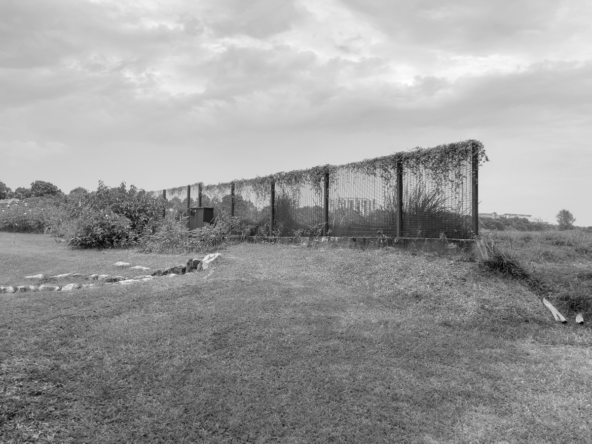 Muted Equator