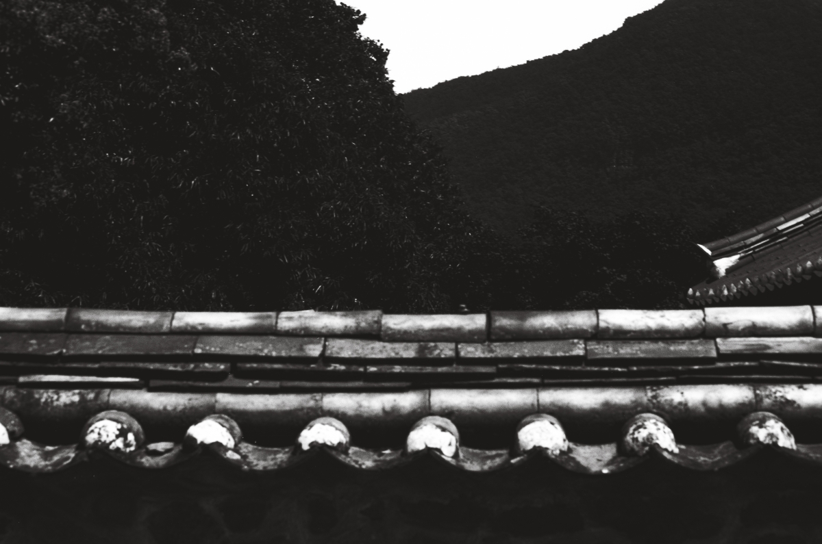 ALTES LIED