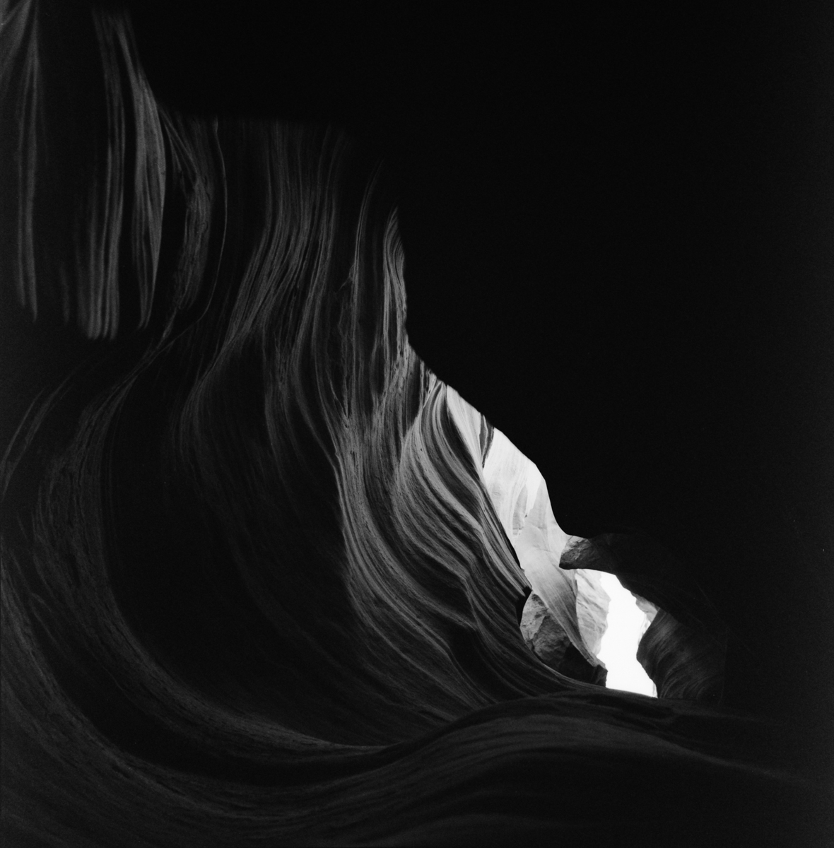 dancing curves