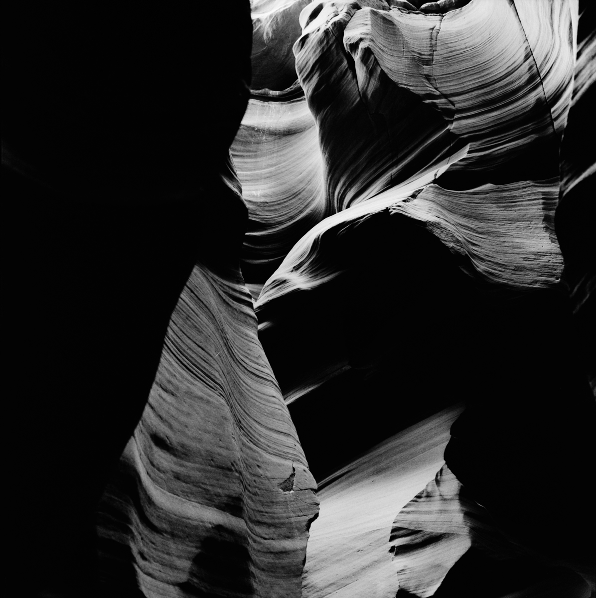 dancing curves