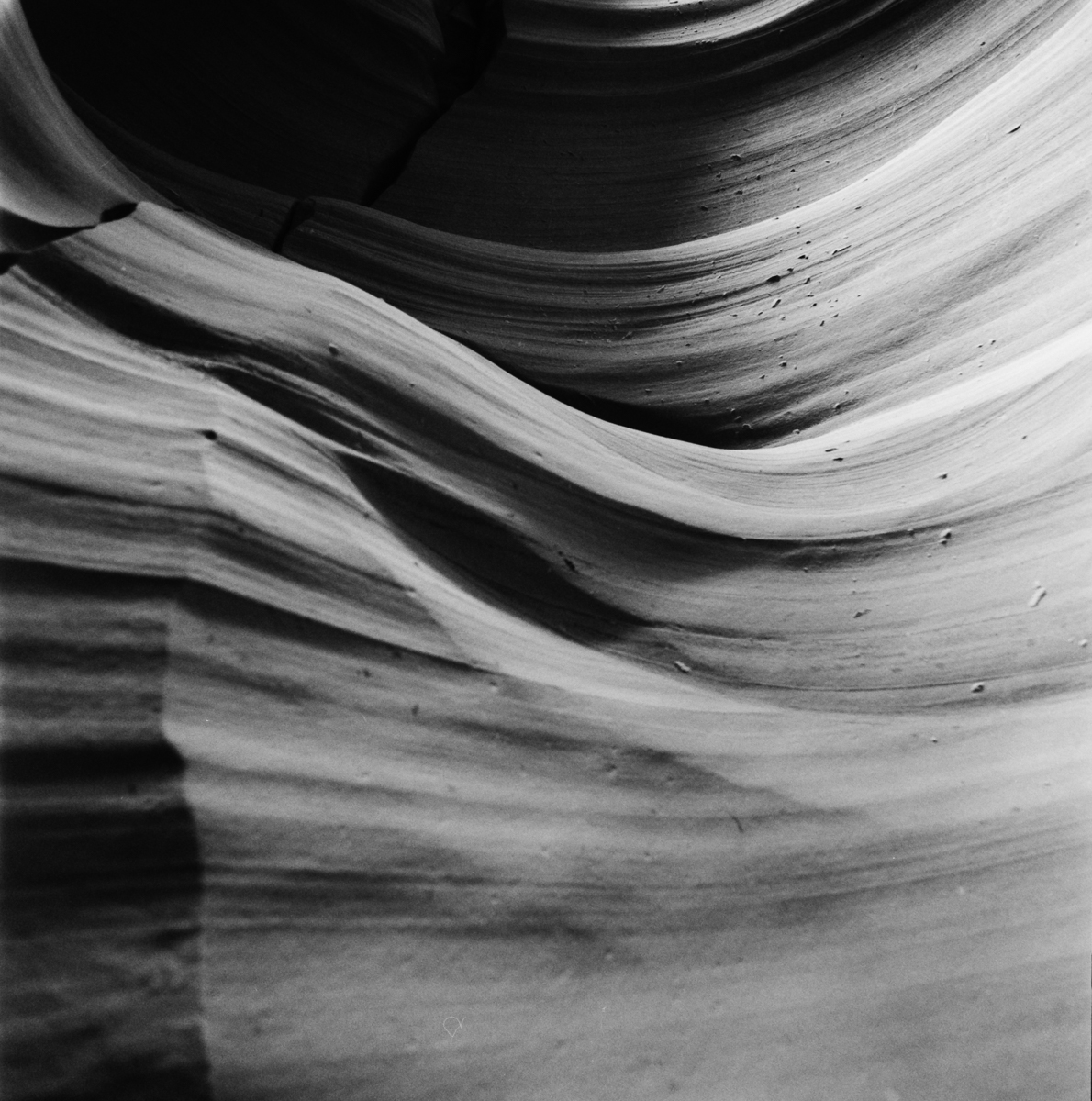 dancing curves