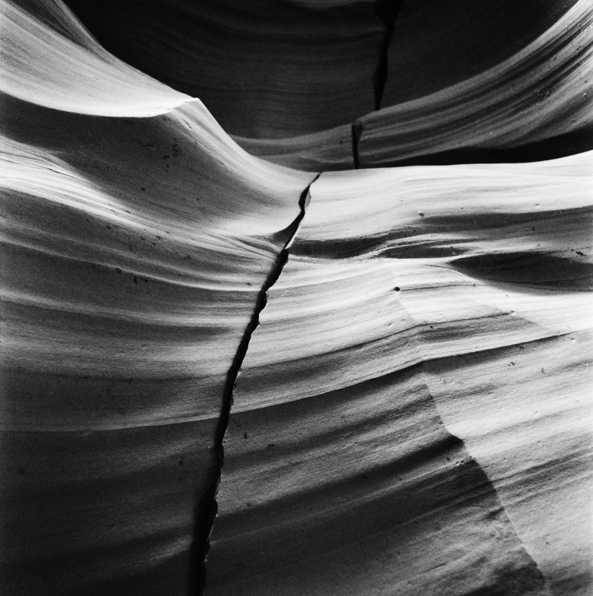dancing curves