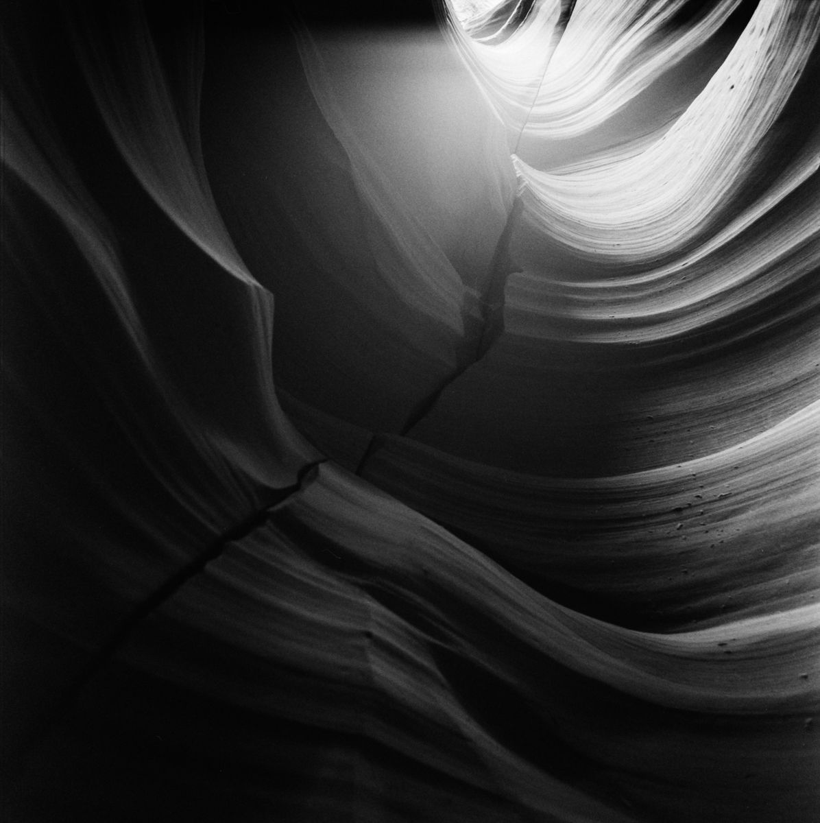 dancing curves